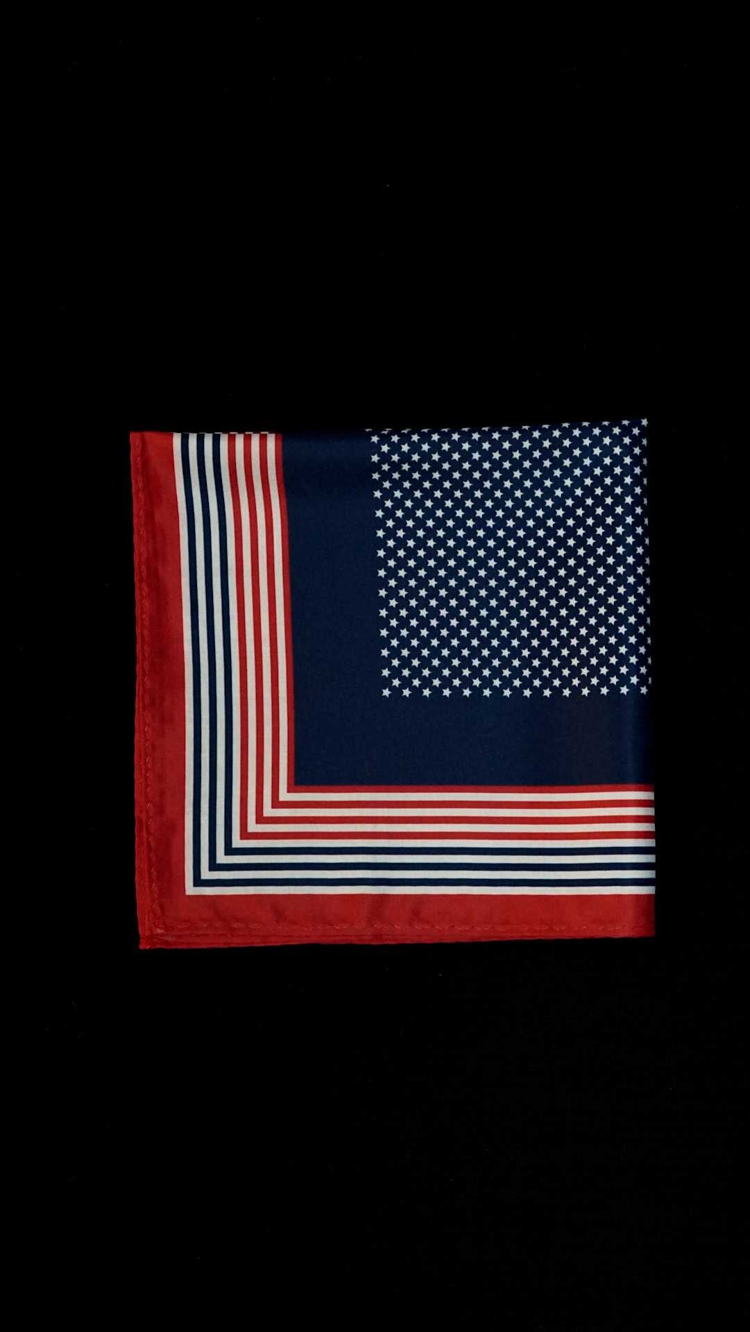 U S Flag Printed Silk Pocket Square